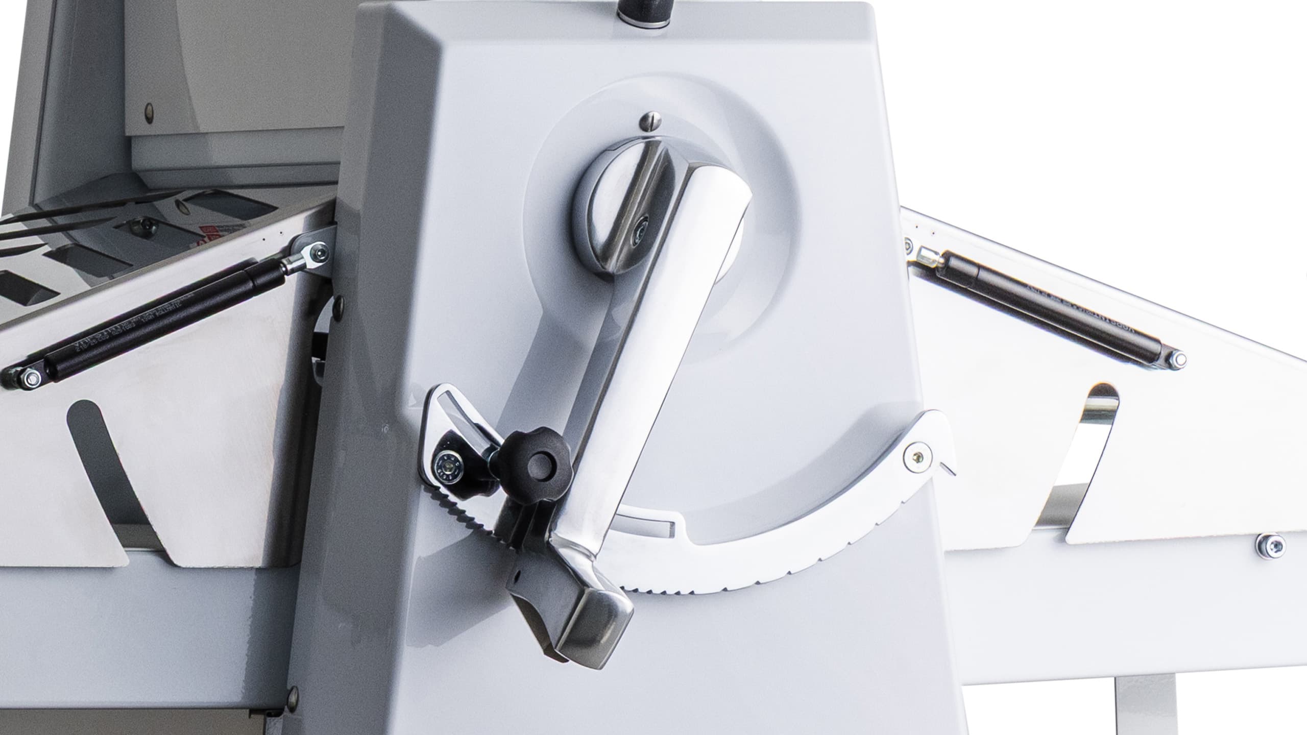 Immagine di galleria